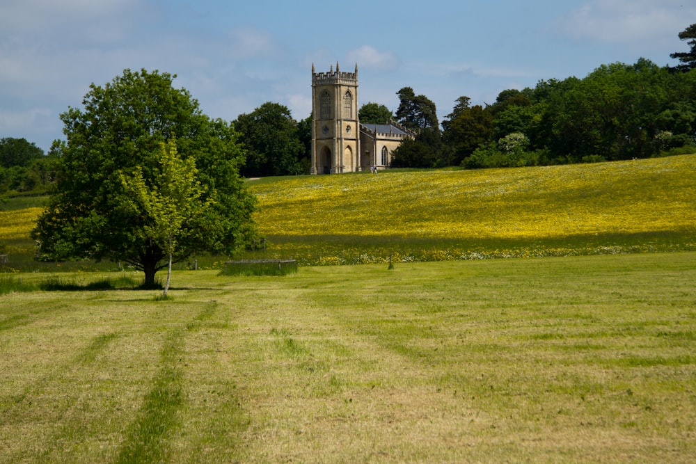 a grassy field with a tree and a building in the background