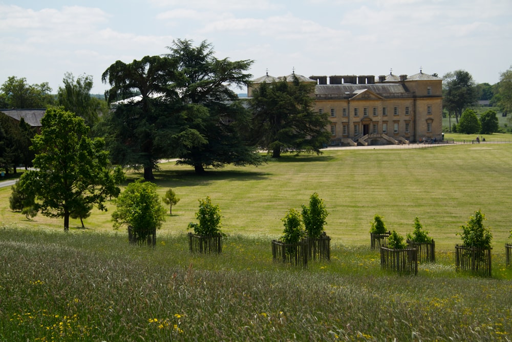 a large field with a large building in the background