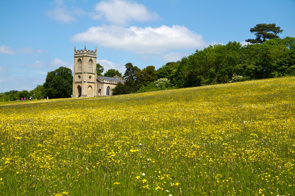 a large building sitting on top of a lush green hillside