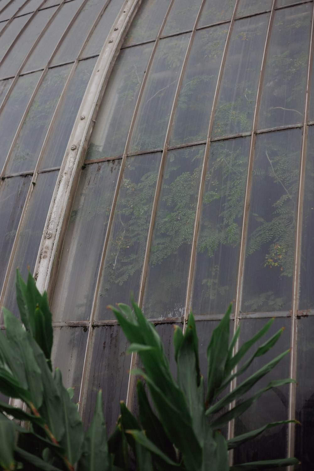 a large building with a lot of windows and plants in front of it