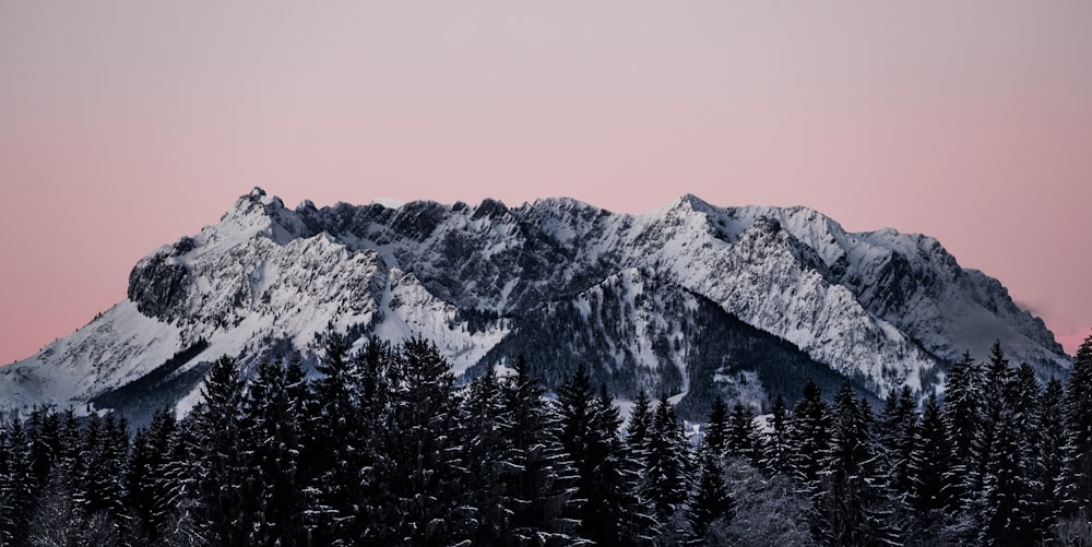 a snow covered mountain with trees in the foreground