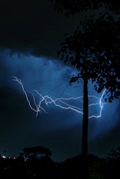 a lightning bolt is seen in the sky above a tree