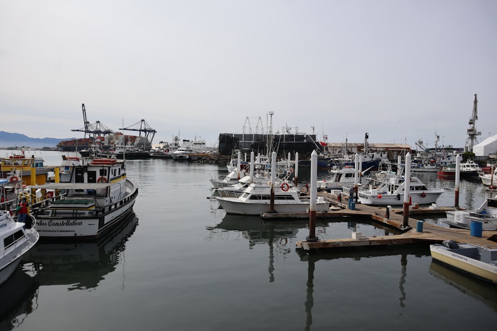 a harbor filled with lots of boats on top of water