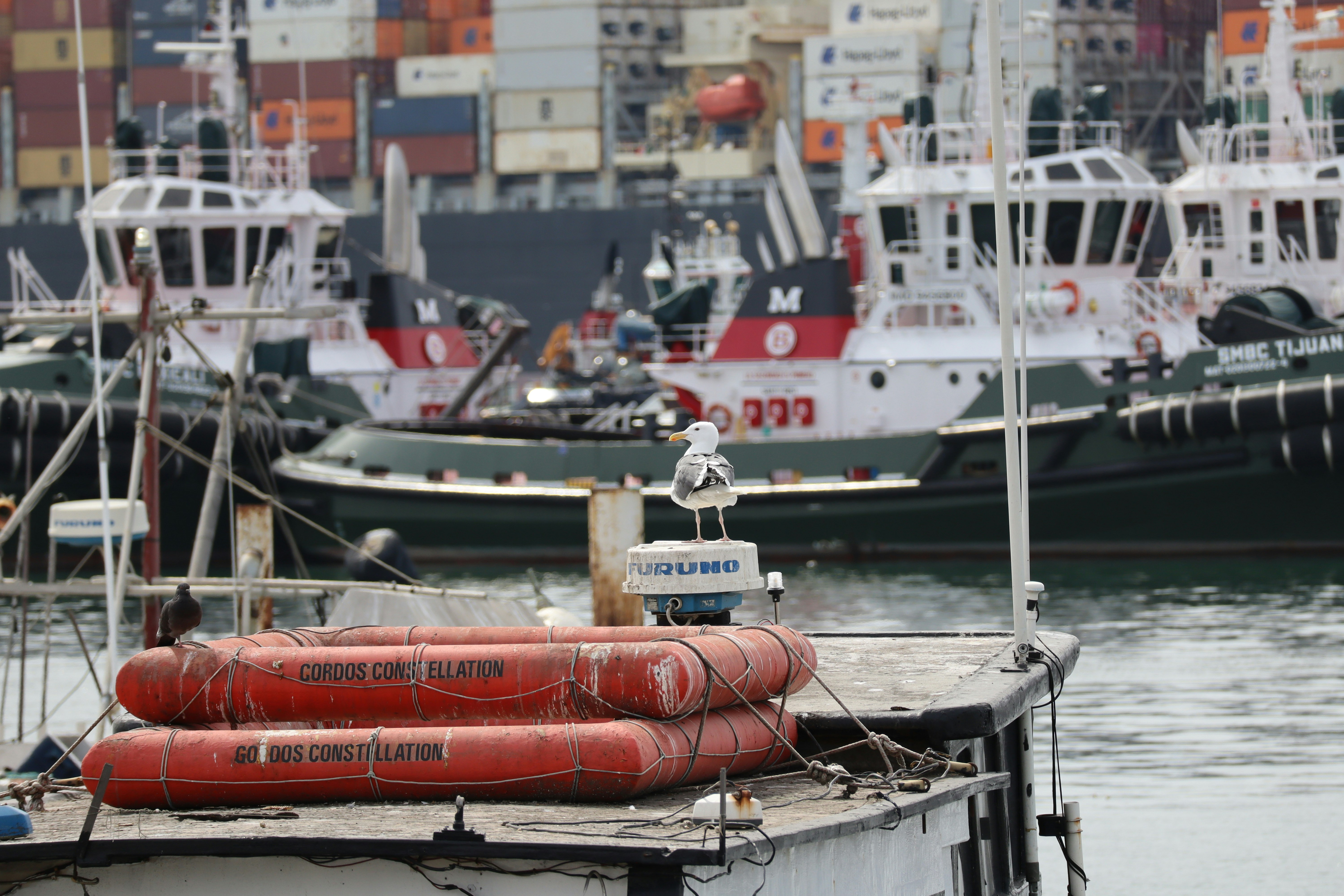 Photo by oscardelalanza