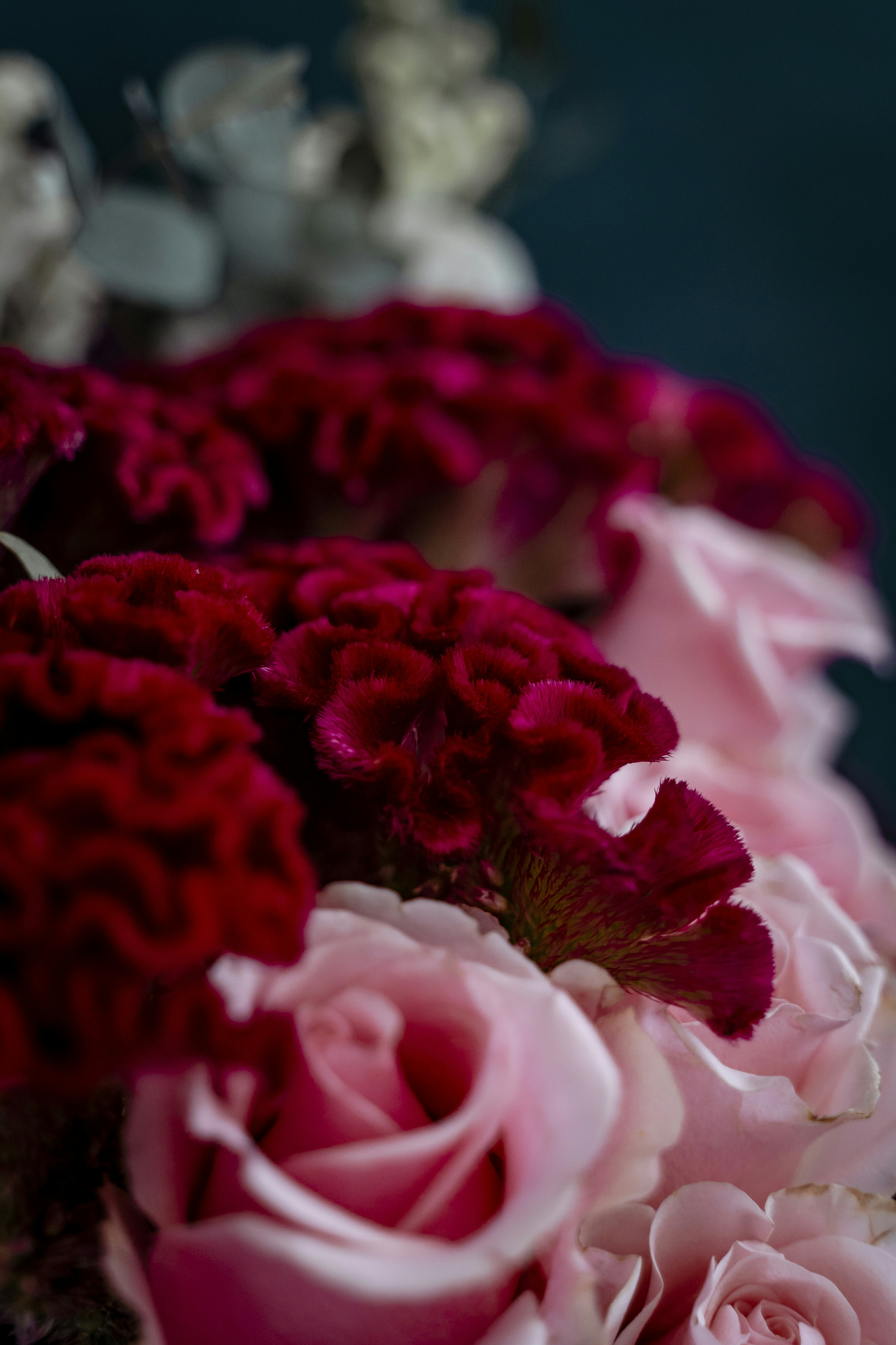 Photo by michellem18