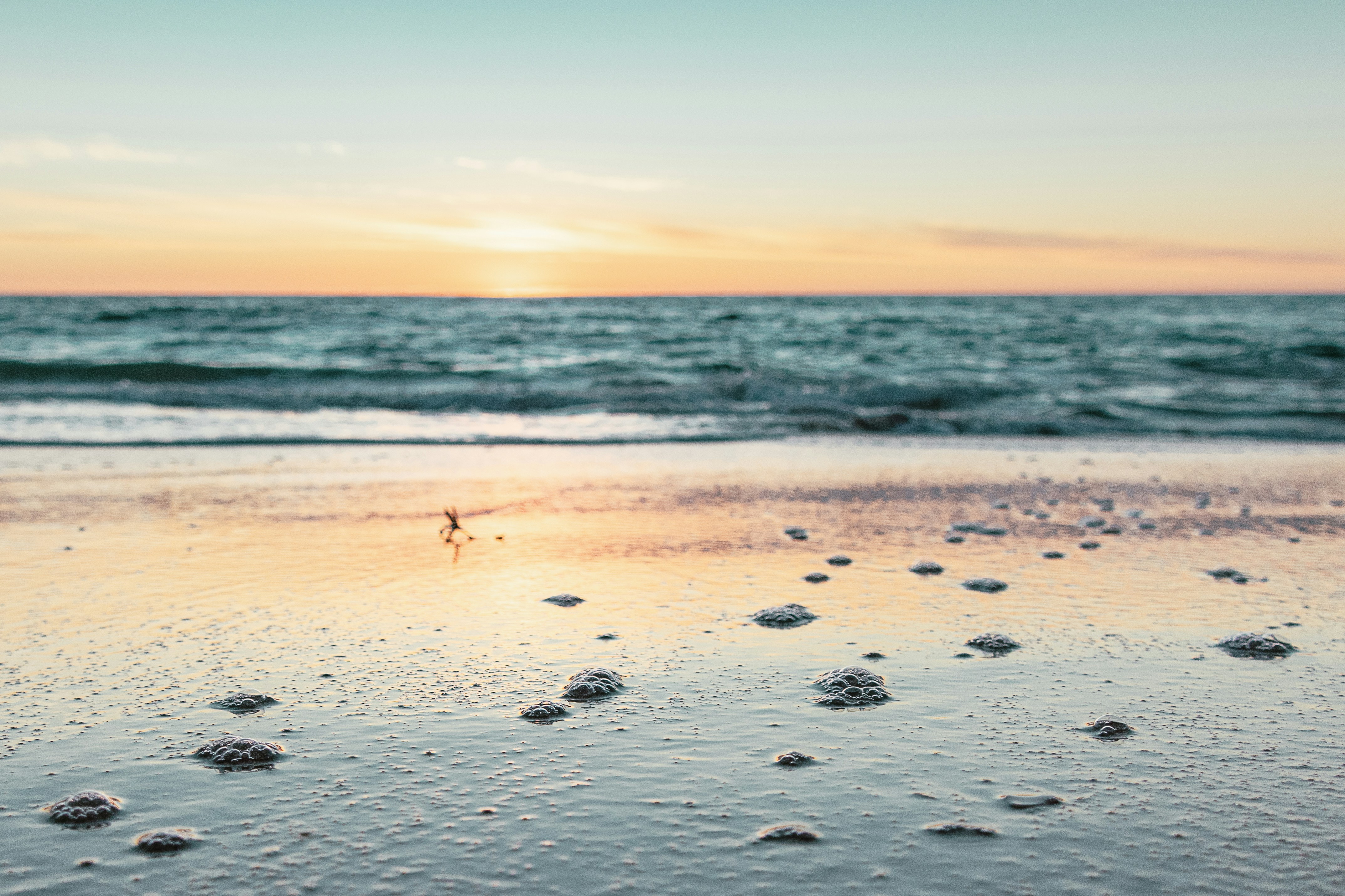 Photo by michellem18