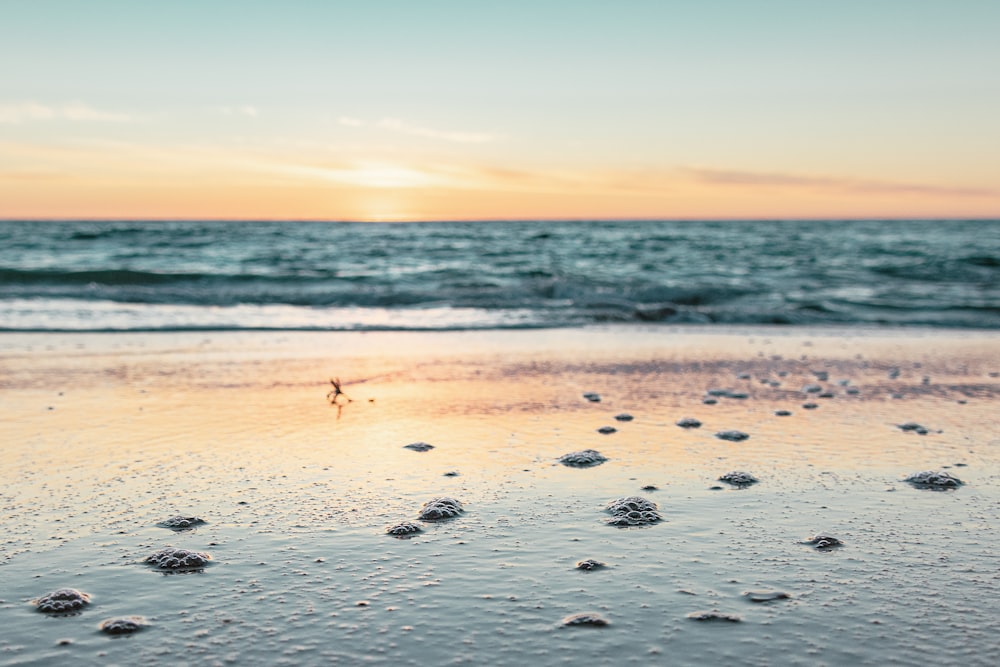 a beach with footprints in the sand and a sunset in the background