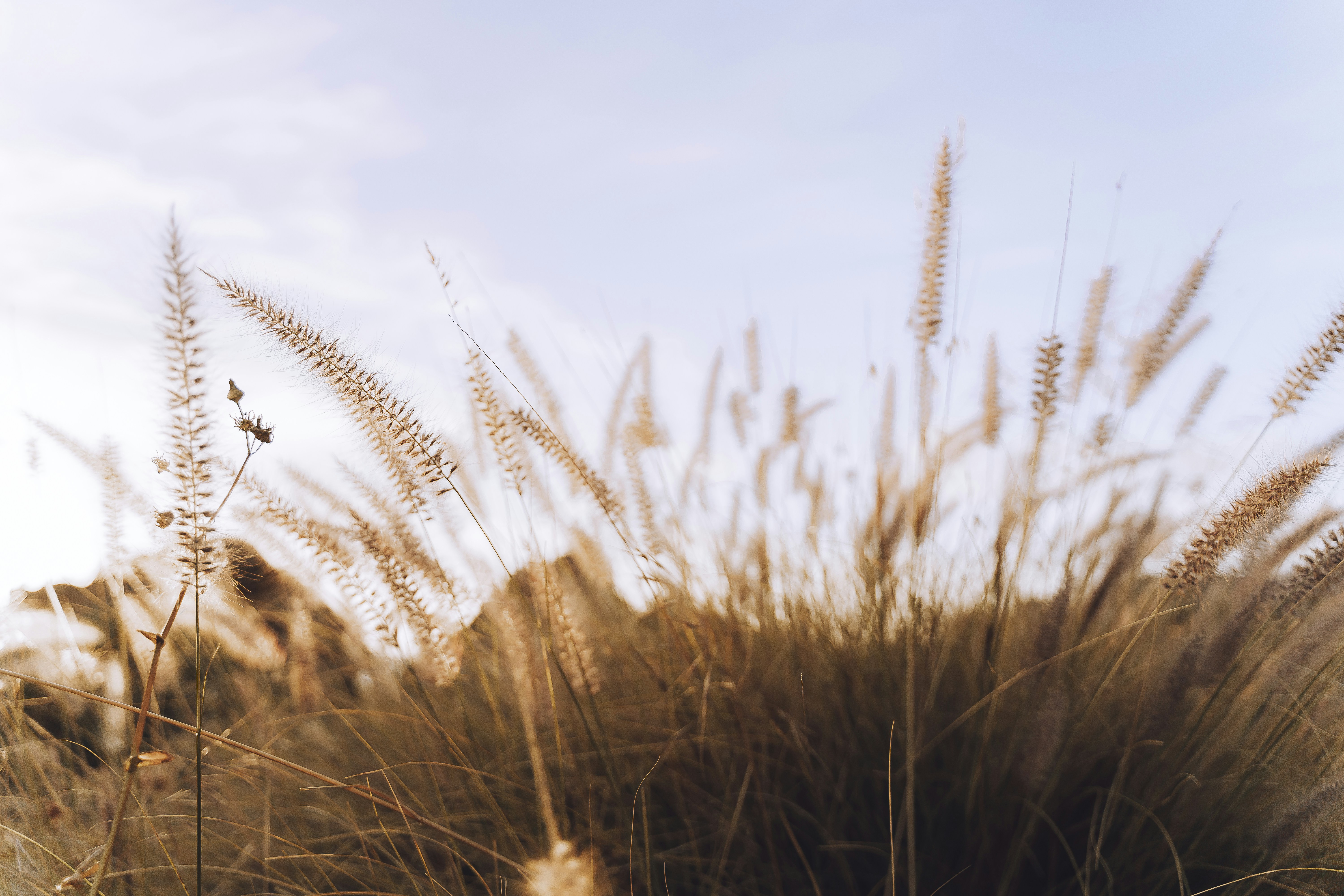 Photo by michellem18