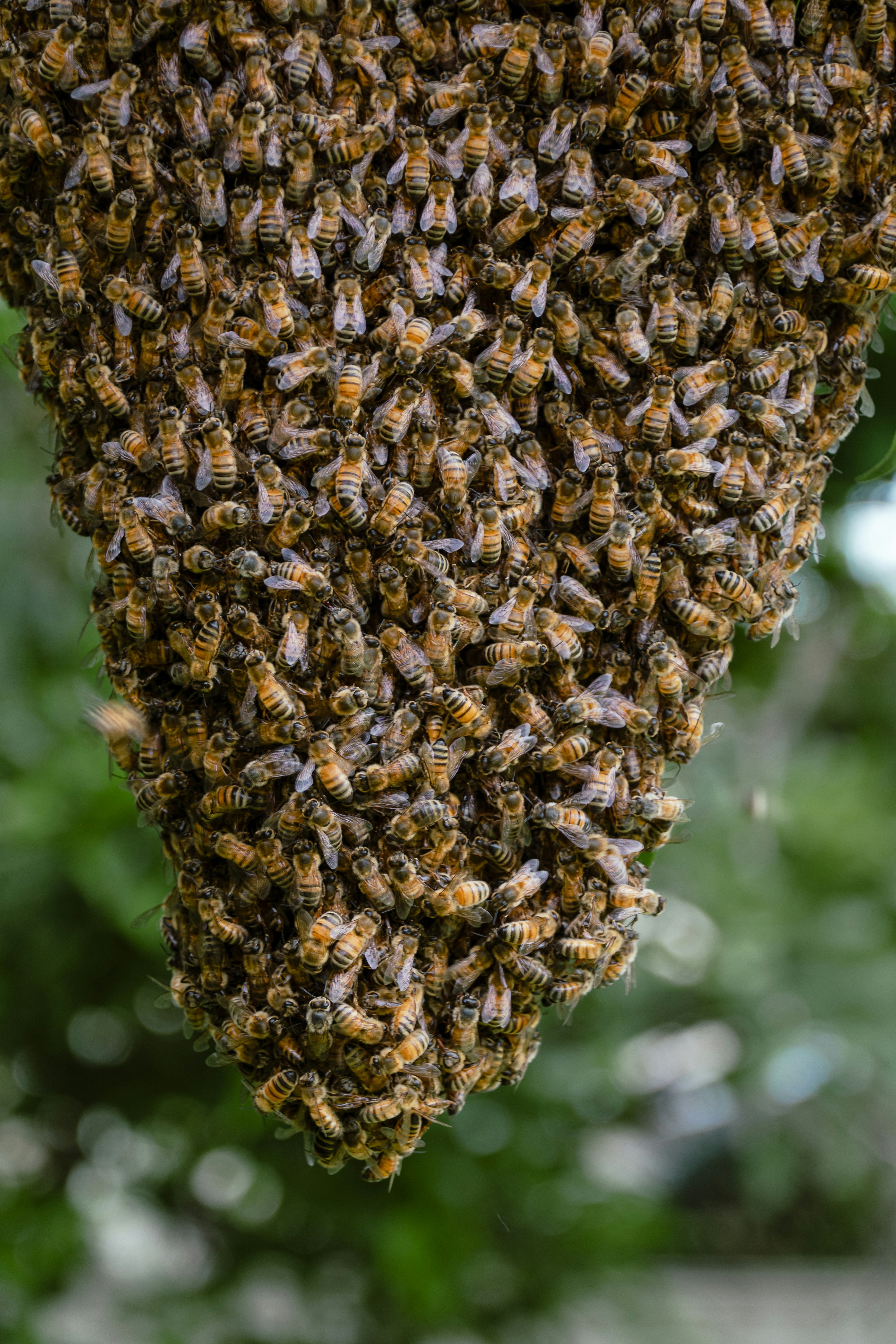 Photo by michellem18