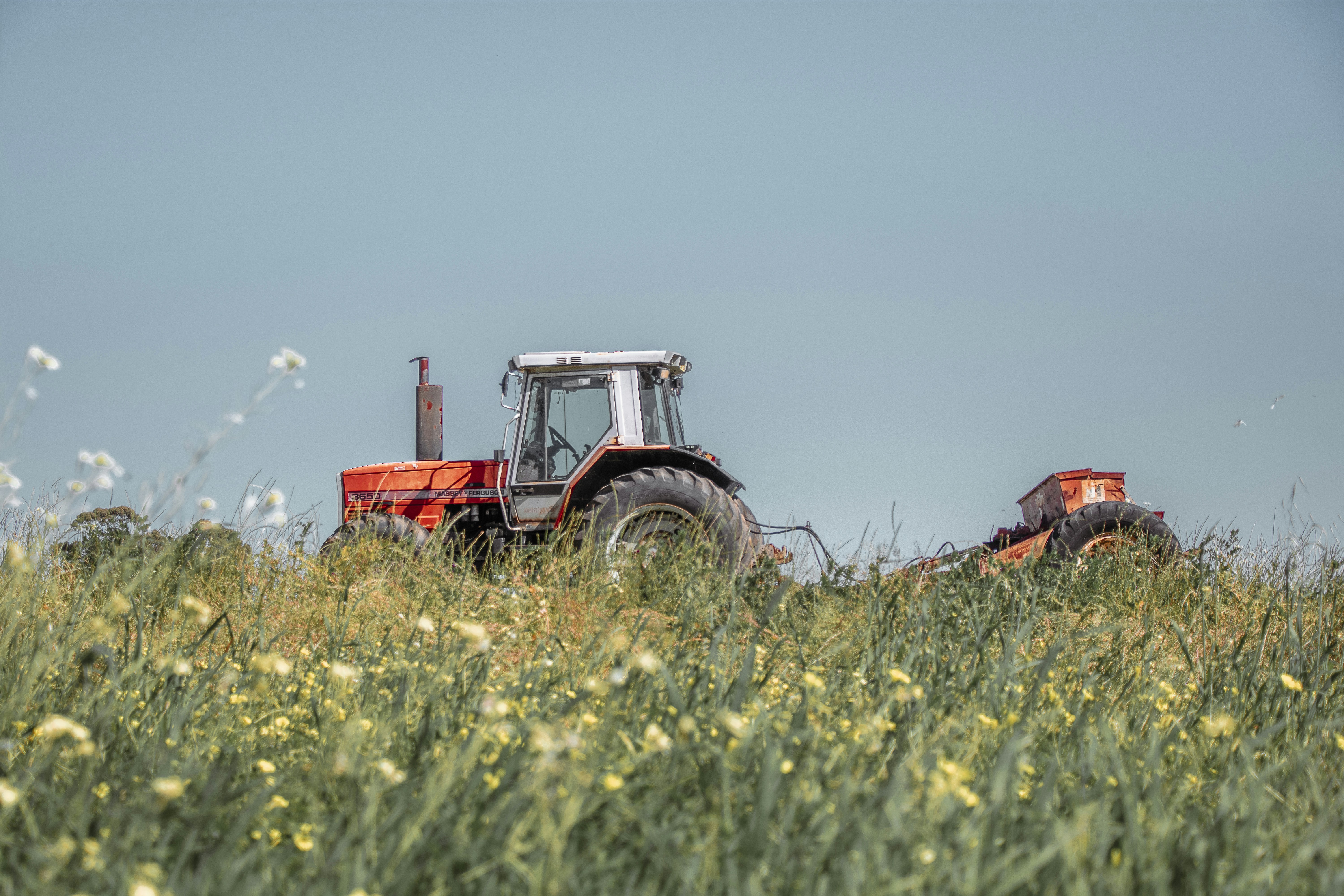 Photo by michellem18