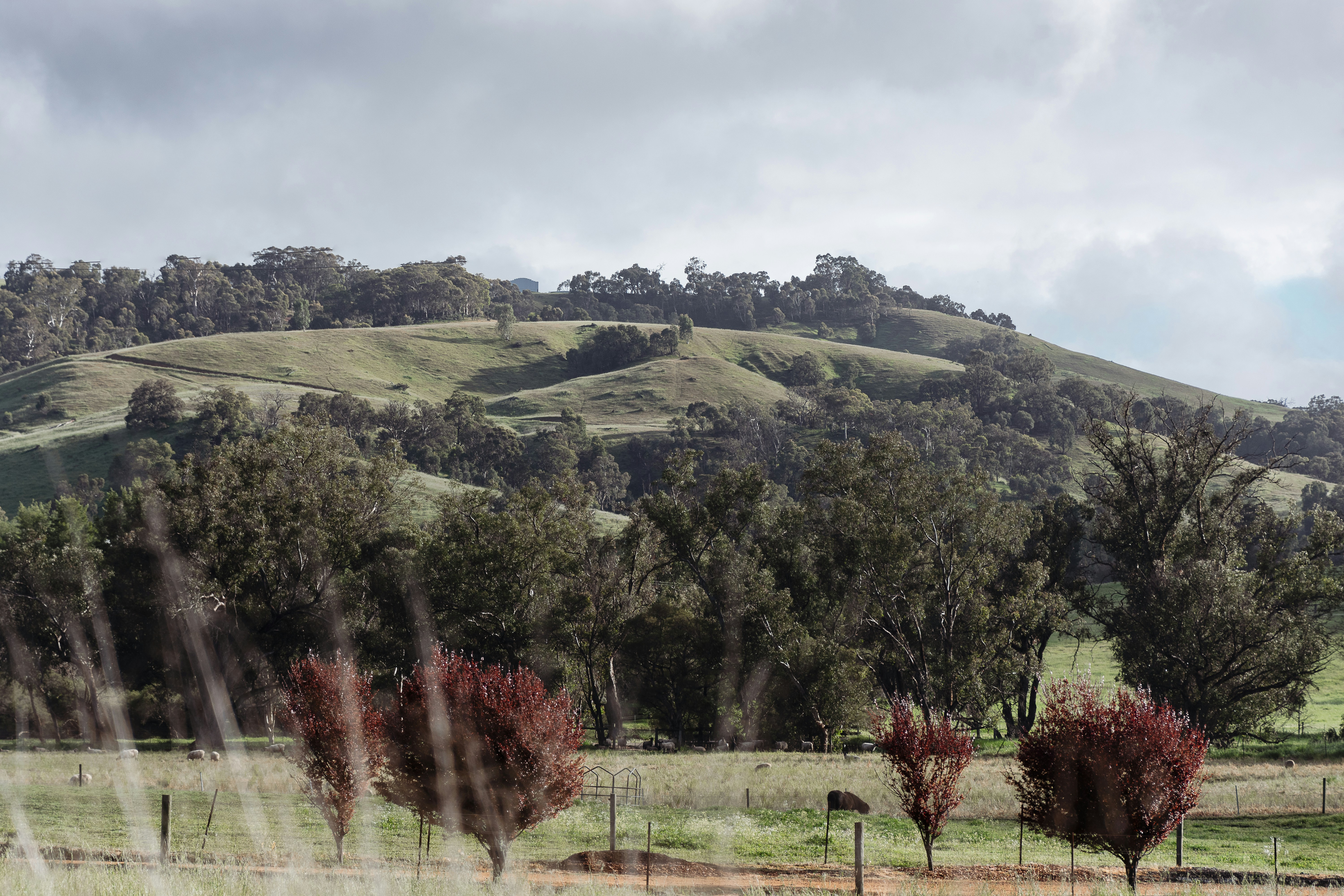 Photo by michellem18