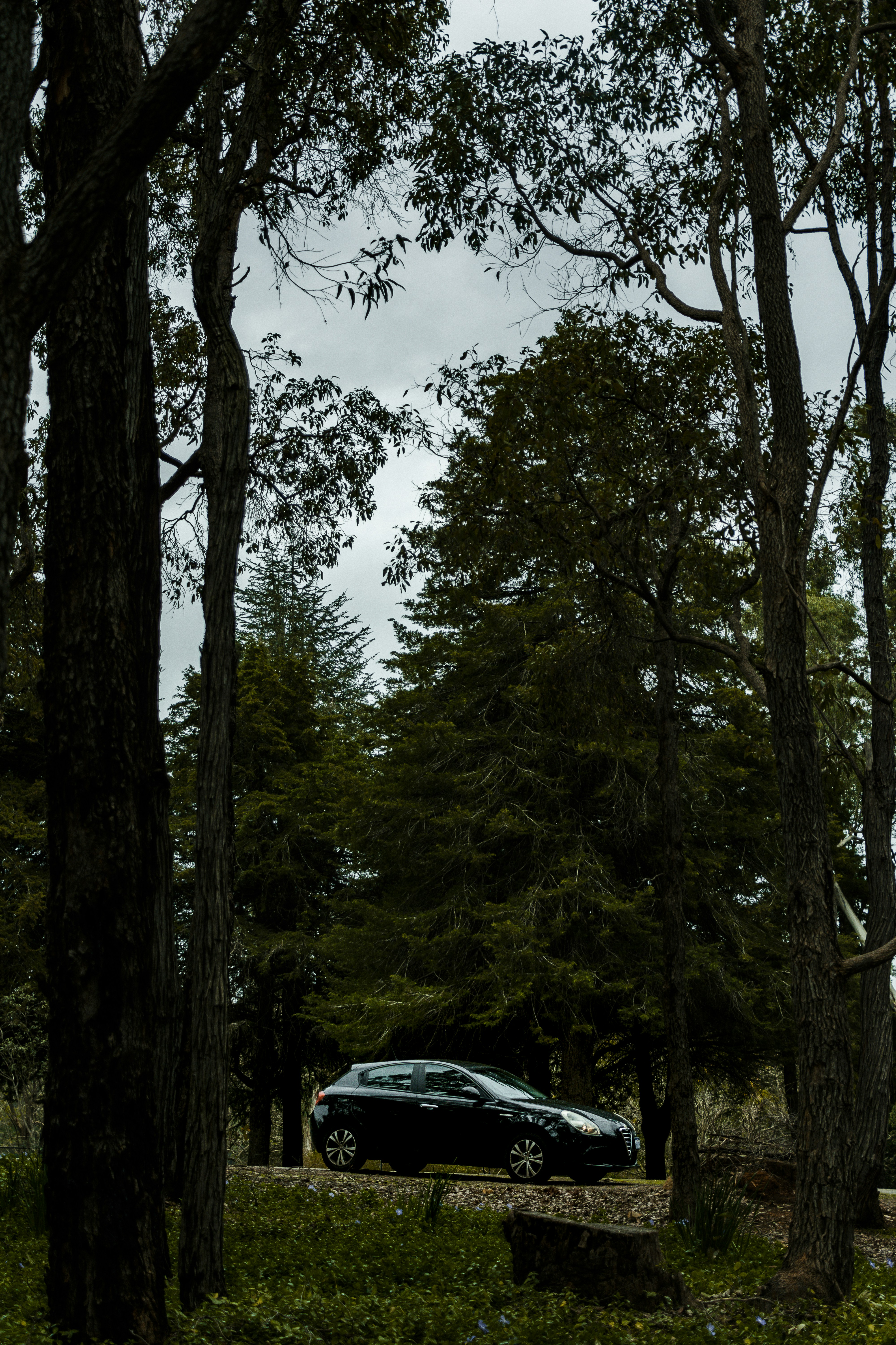 Photo by michellem18