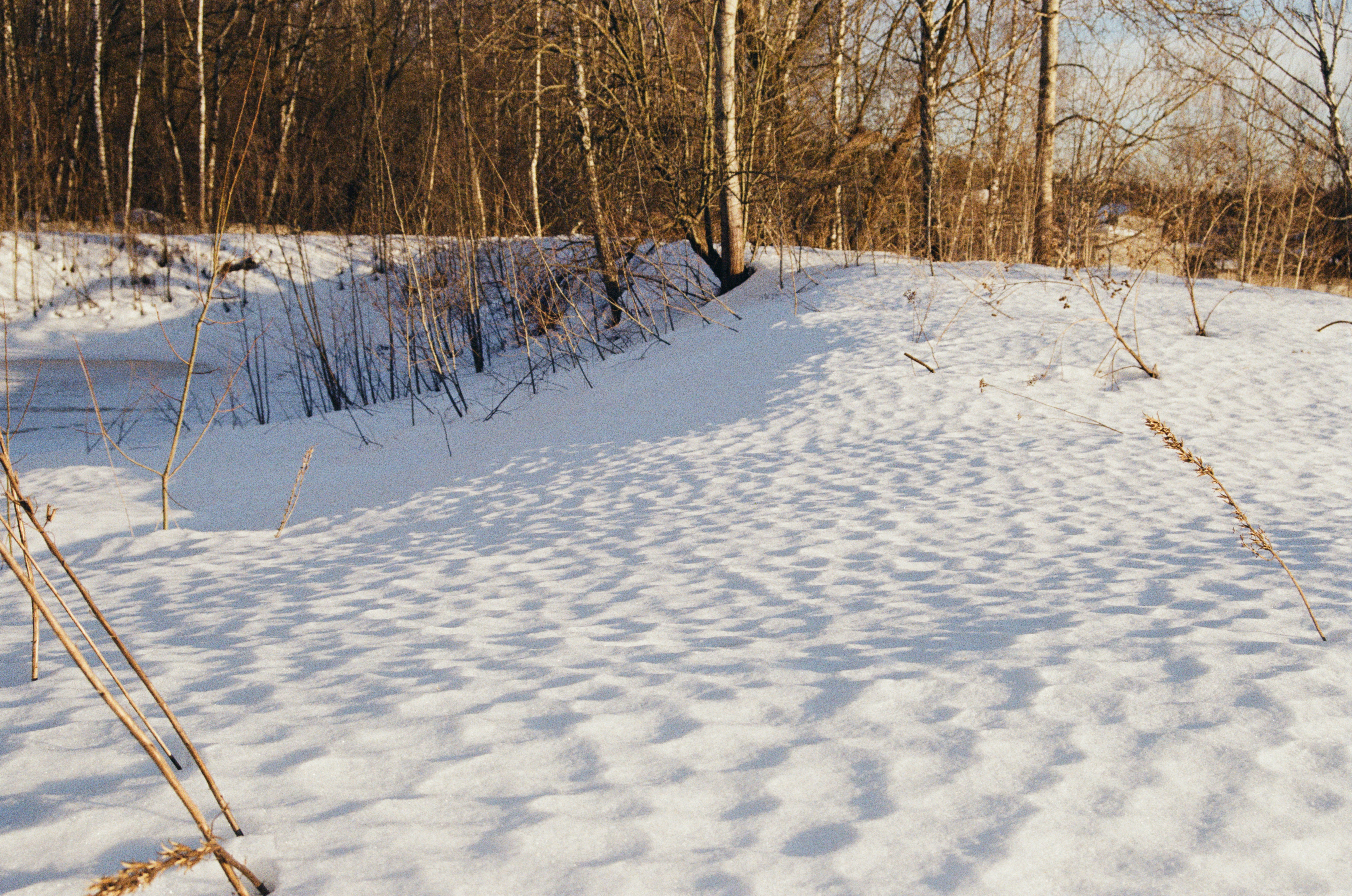 uma pessoa que monta esquis em uma superfície nevada