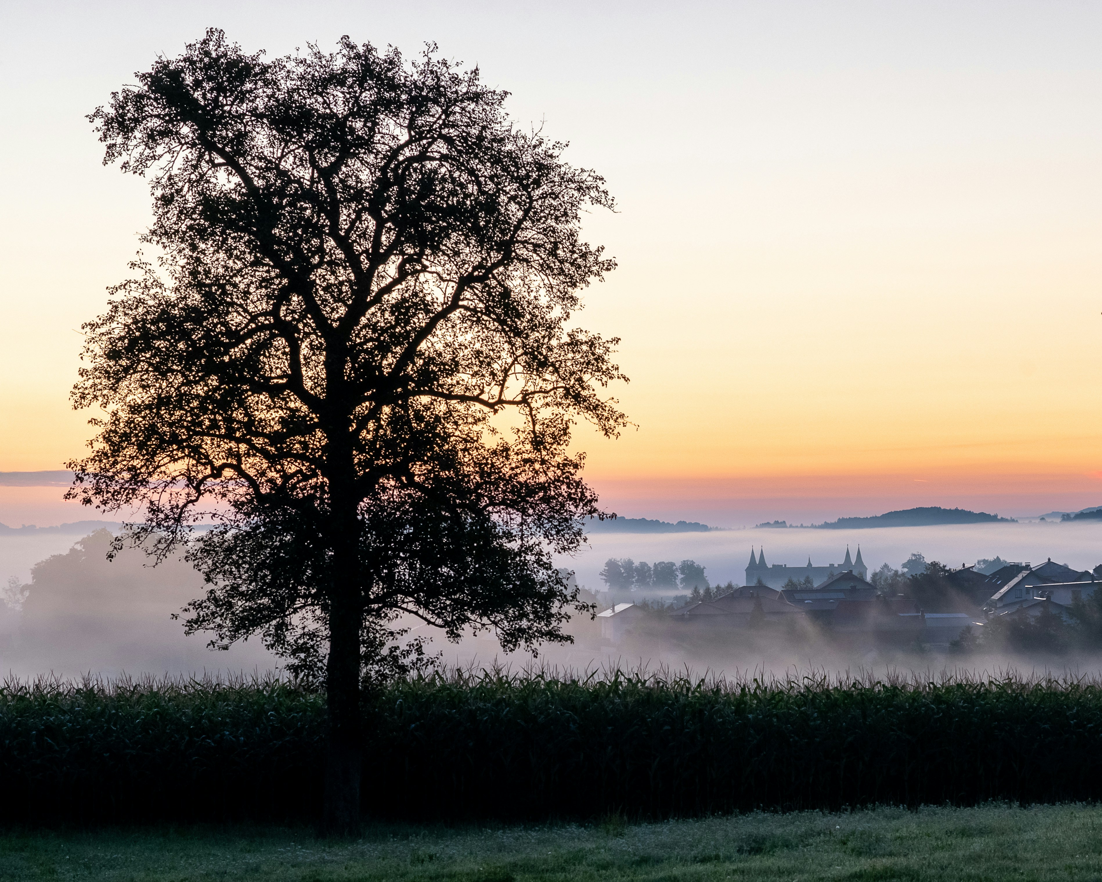 Photo by carrie_borden