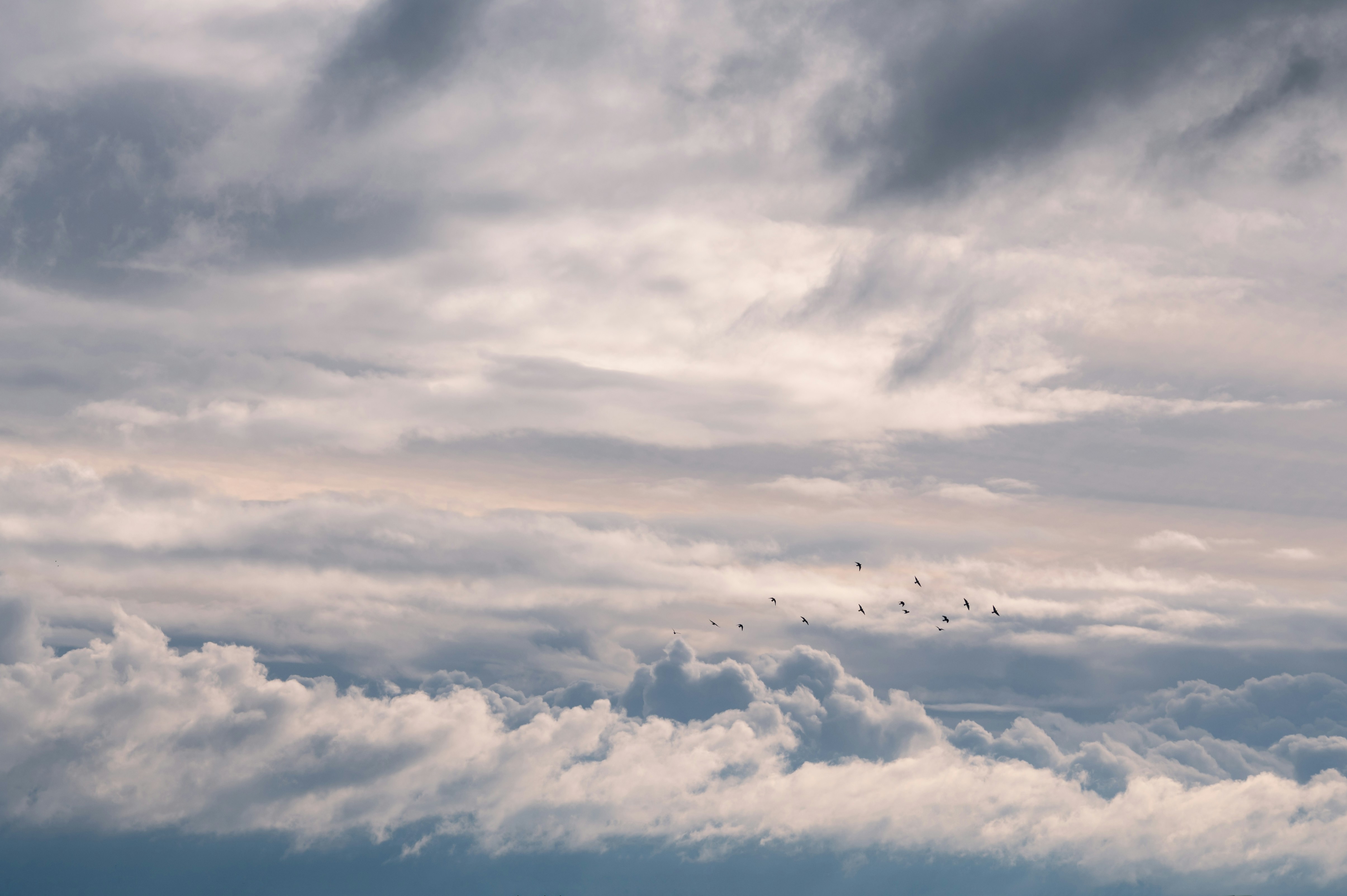 Photo by carrie_borden