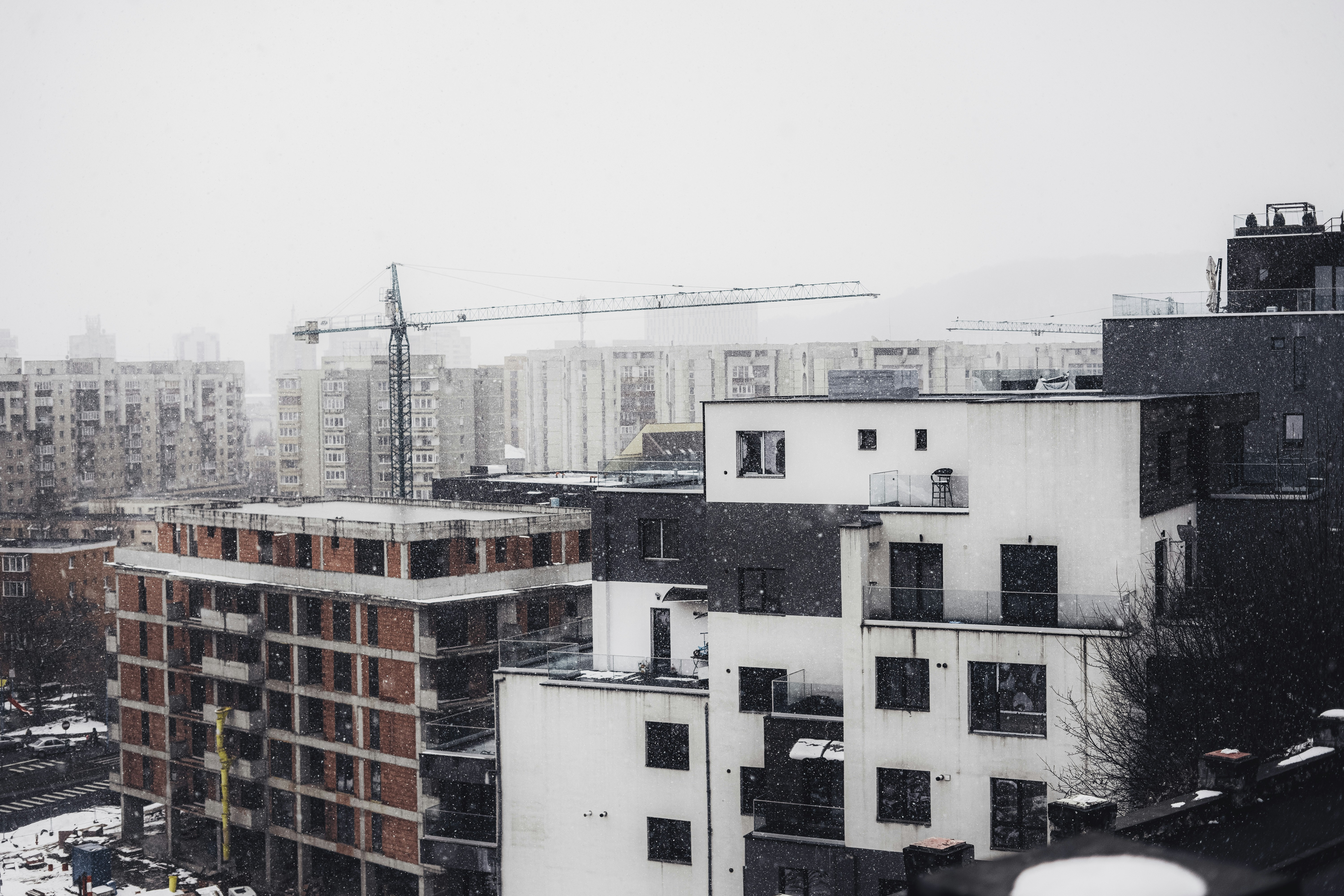 Photo by traiantitilincu