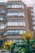 A multi-story brick building with large windows, labeled 'School of Education', is framed by green foliage and yellow flowers in the foreground. The building features modern architectural lines with a series of stacked, protruding window sections.