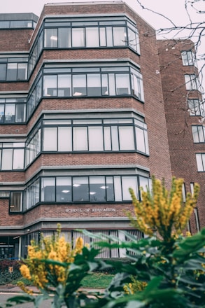 A multi-story brick building with large windows, labeled 'School of Education', is framed by green foliage and yellow flowers in the foreground. The building features modern architectural lines with a series of stacked, protruding window sections.
