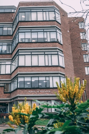A multi-story brick building with large windows, labeled 'School of Education', is framed by green foliage and yellow flowers in the foreground. The building features modern architectural lines with a series of stacked, protruding window sections.