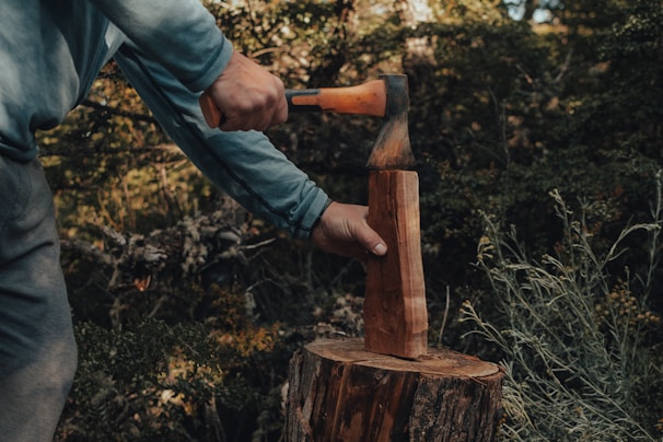 a man holding a large axe over a tree stump