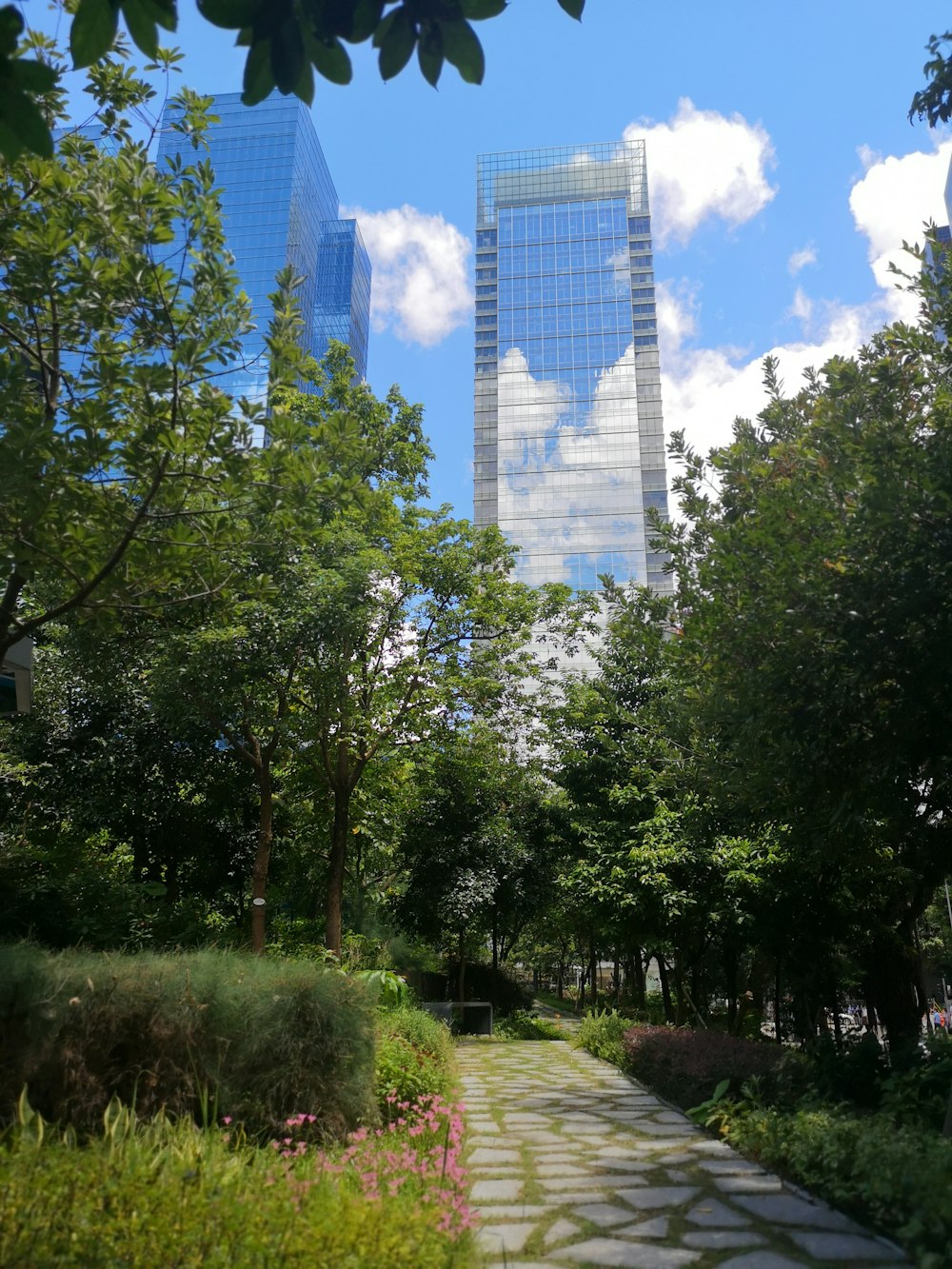 a walkway in a park with tall buildings in the background