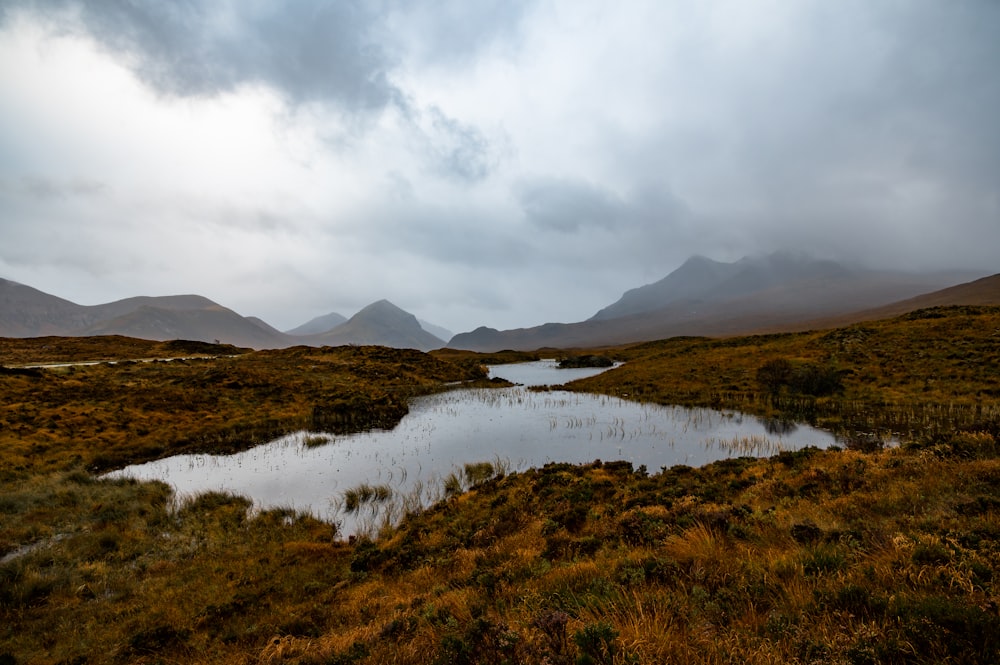 a small pond in a grassy field with mountains in the background