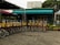 A row of rental bicycles with yellow baskets is neatly lined up in front of a small shop with a teal awning. The shop is surrounded by potted plants and features a sign with text in a foreign language. The setting suggests an outdoor recreational activity area.