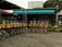 A row of rental bicycles with yellow baskets is neatly lined up in front of a small shop with a teal awning. The shop is surrounded by potted plants and features a sign with text in a foreign language. The setting suggests an outdoor recreational activity area.