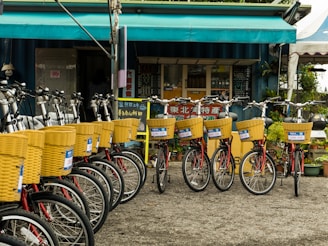 A row of bicycles with yellow baskets is parked in front of a small storefront. The storefront has a blue and green overhang and displays various signs in what appears to be Asian script. The area is surrounded by plants, and there are signs with numbers attached to each bicycle basket.