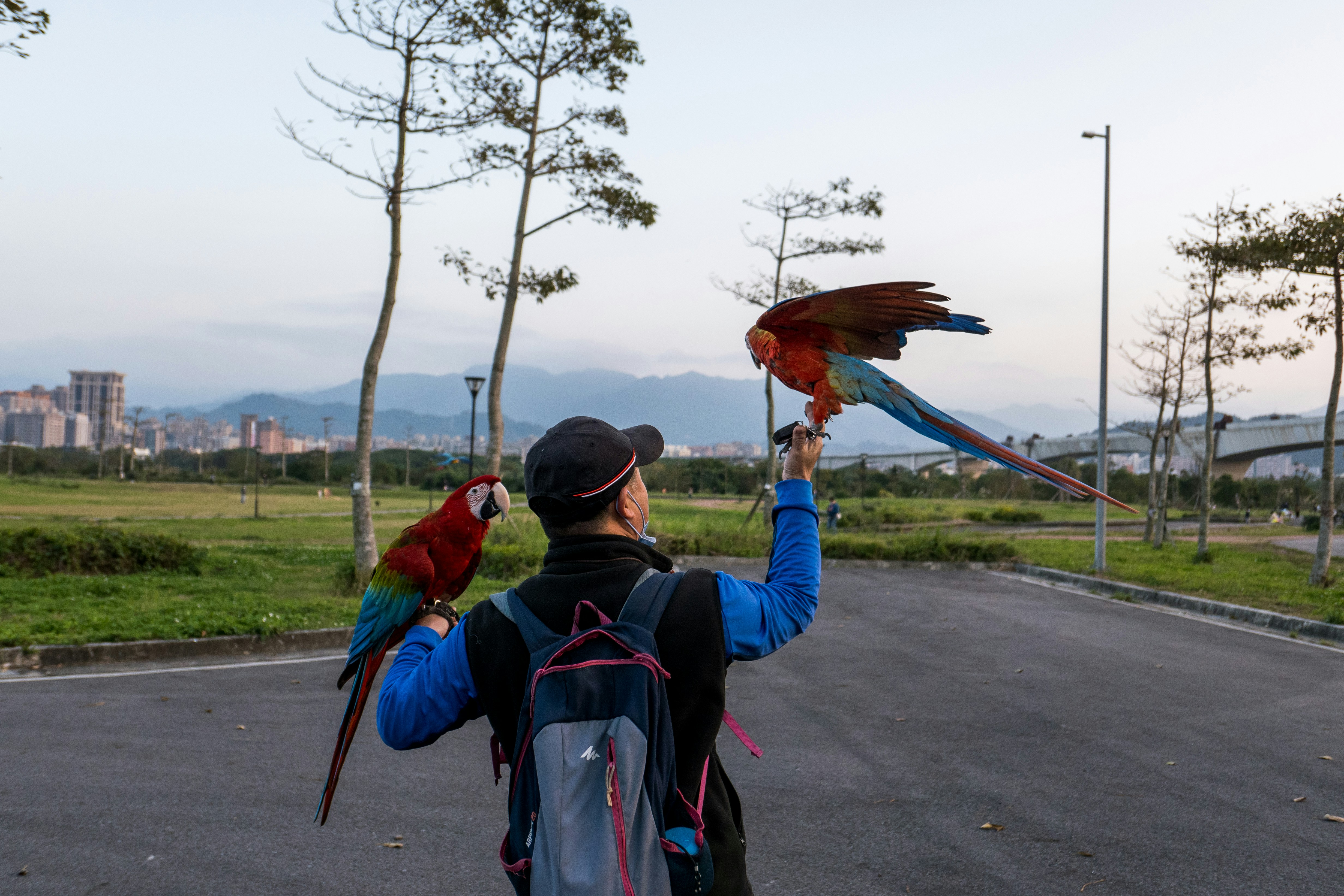 A man holding two parrots in his hands photo – Free Person Image on ...