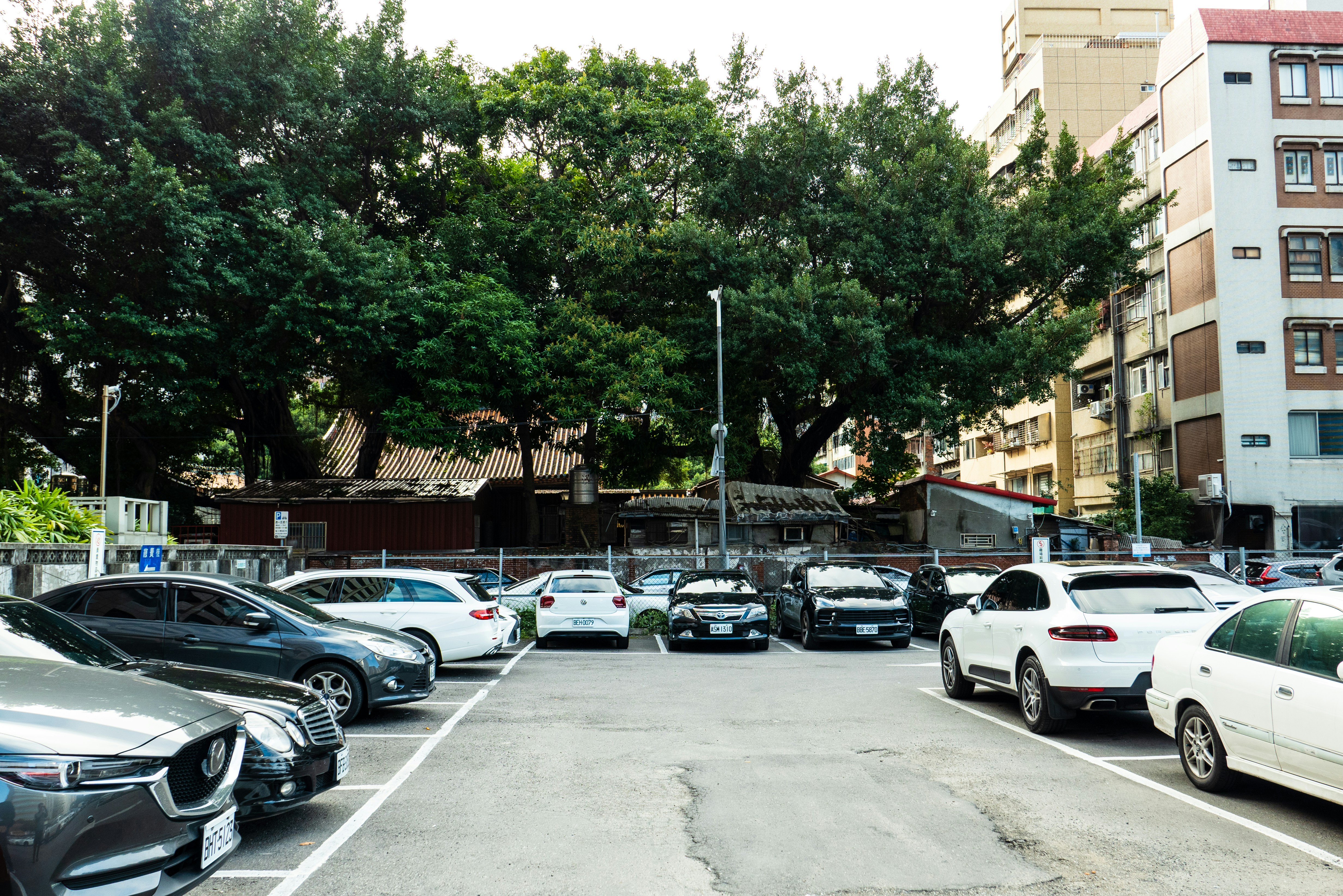 Row of used electric vehicles parked at a dealership lot