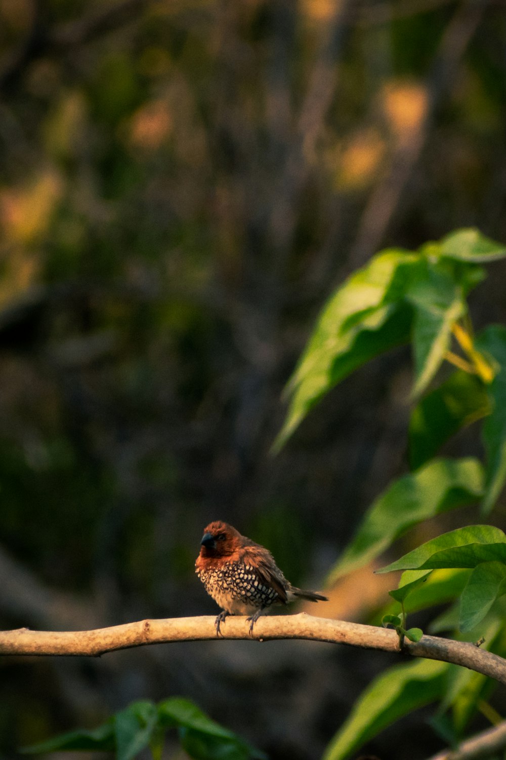 a small bird perched on a tree branch