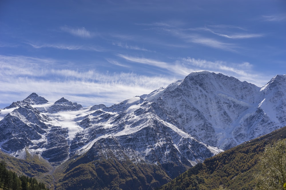 a snow covered mountain range with trees in the foreground