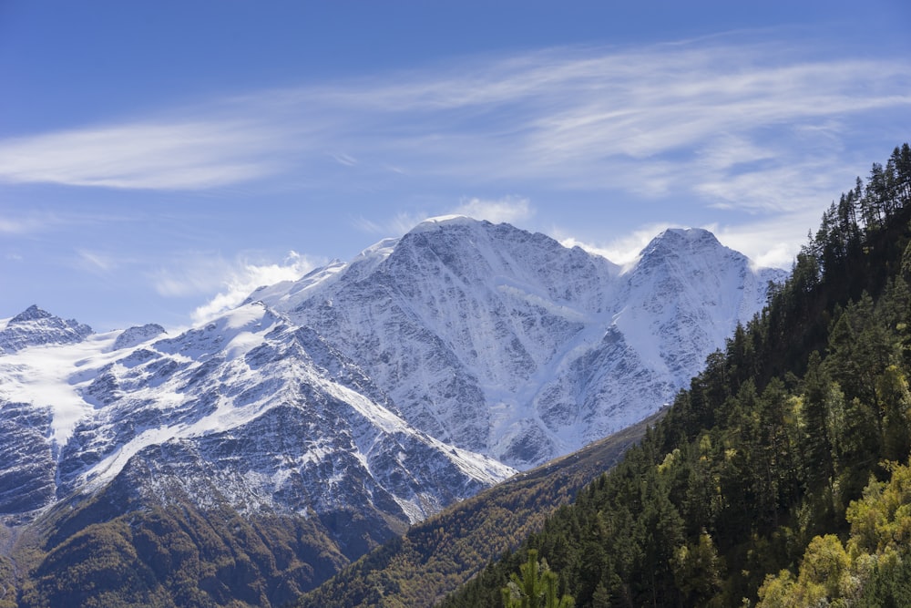 a snow covered mountain range with trees in the foreground