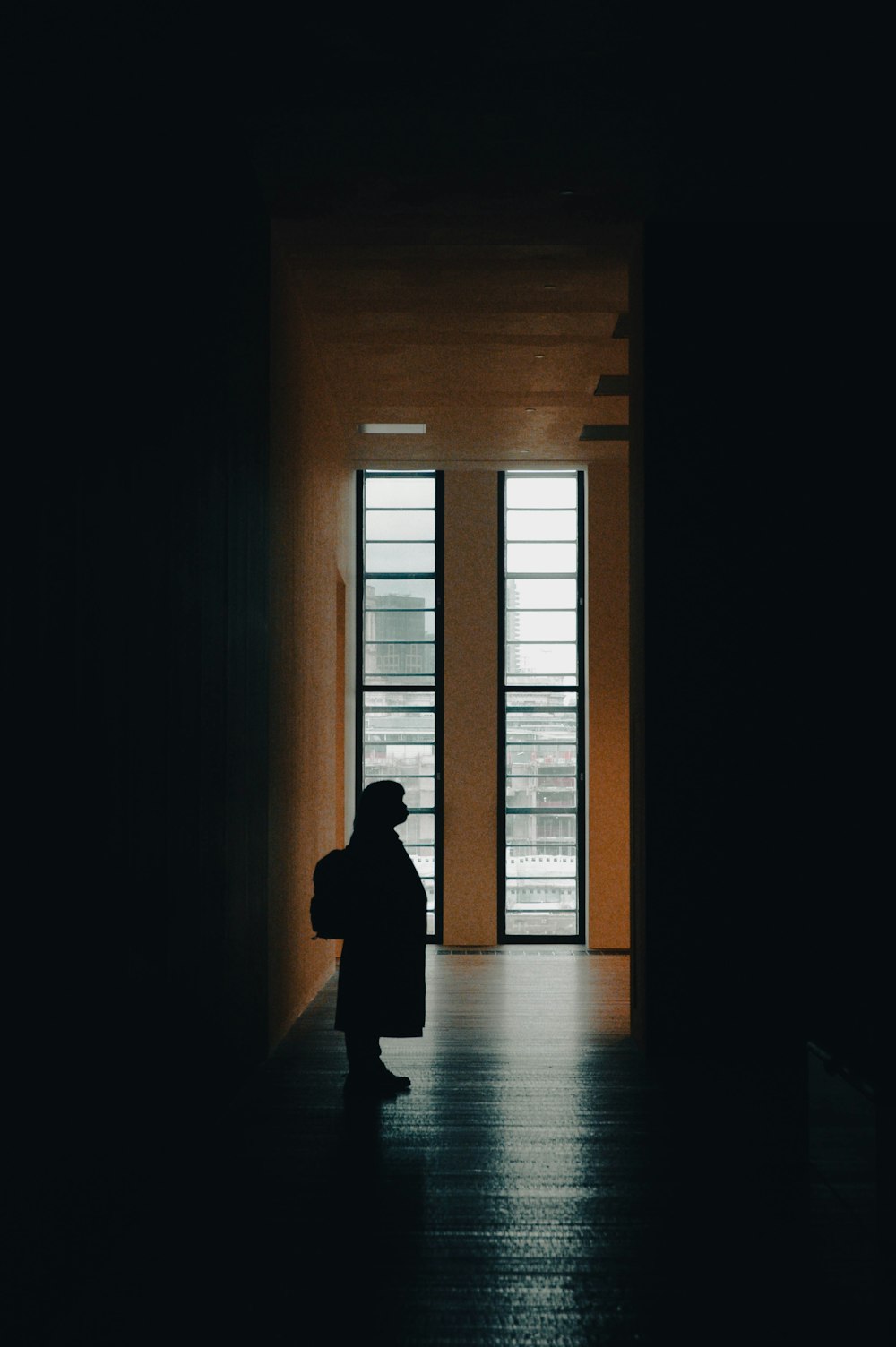 a person standing in a dark room with two windows