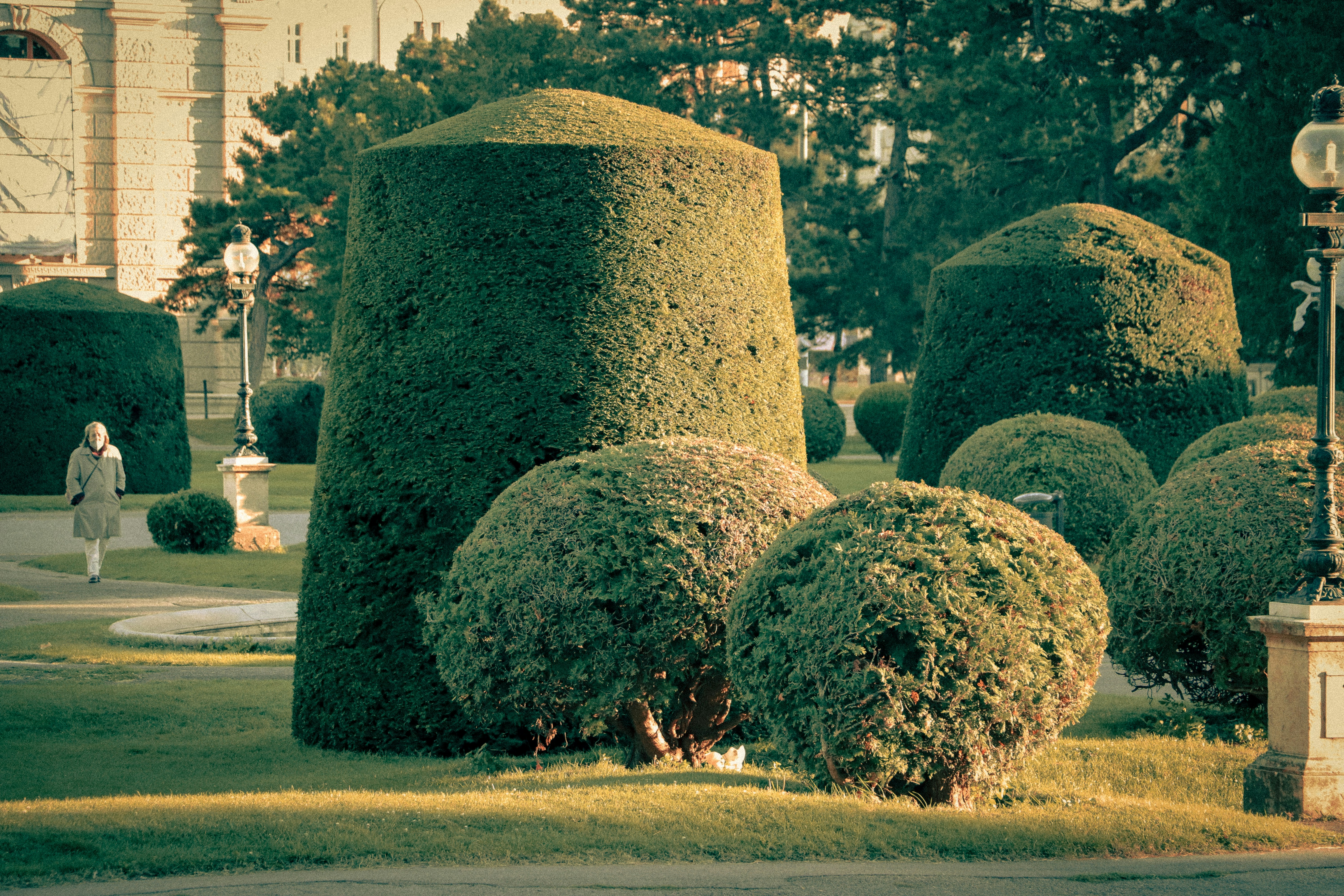 a couple of bushes that are in the grass