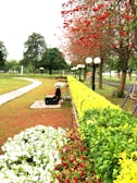 A beautifully designed garden with vibrant flowers and pathways.