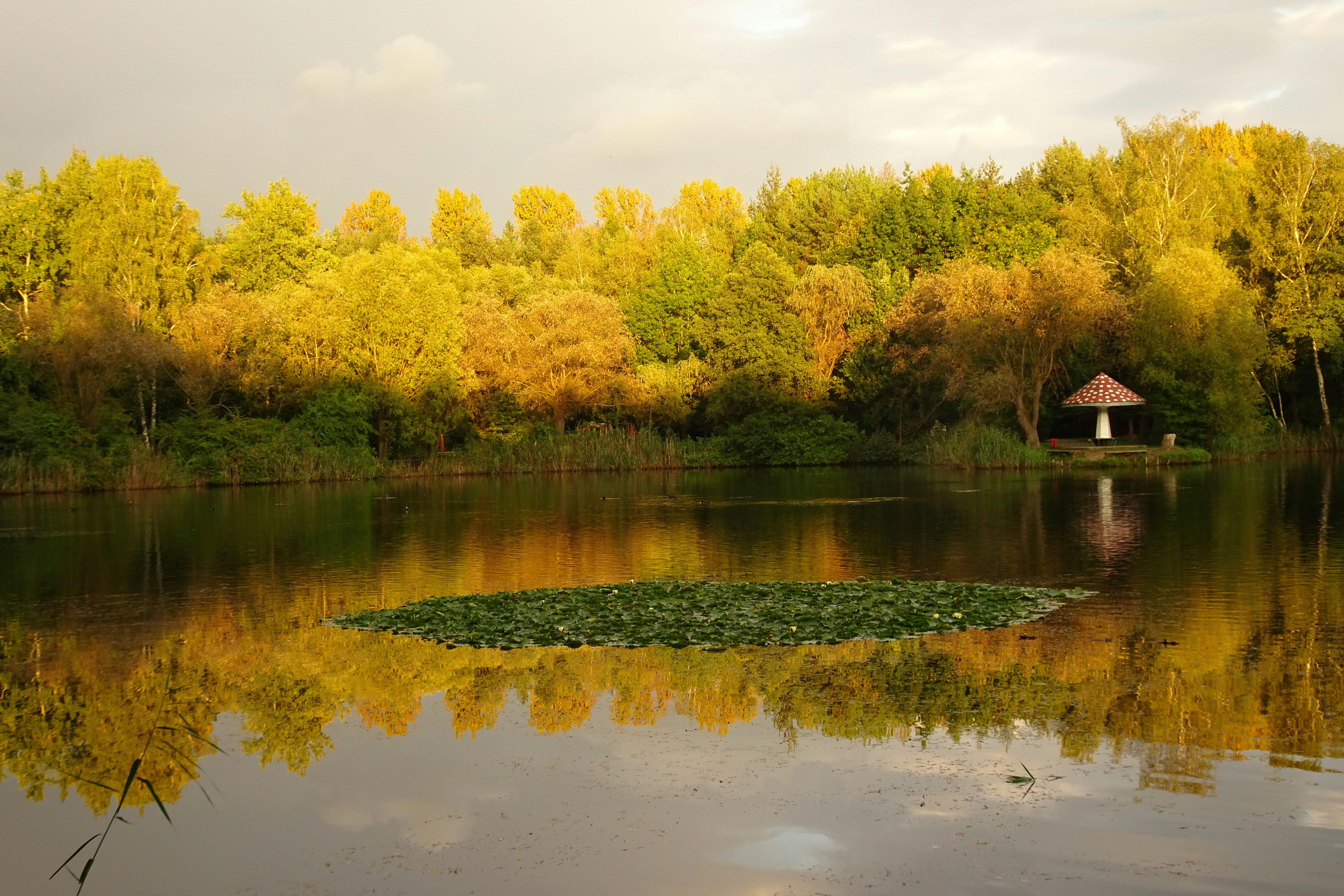 Photo by 12photography