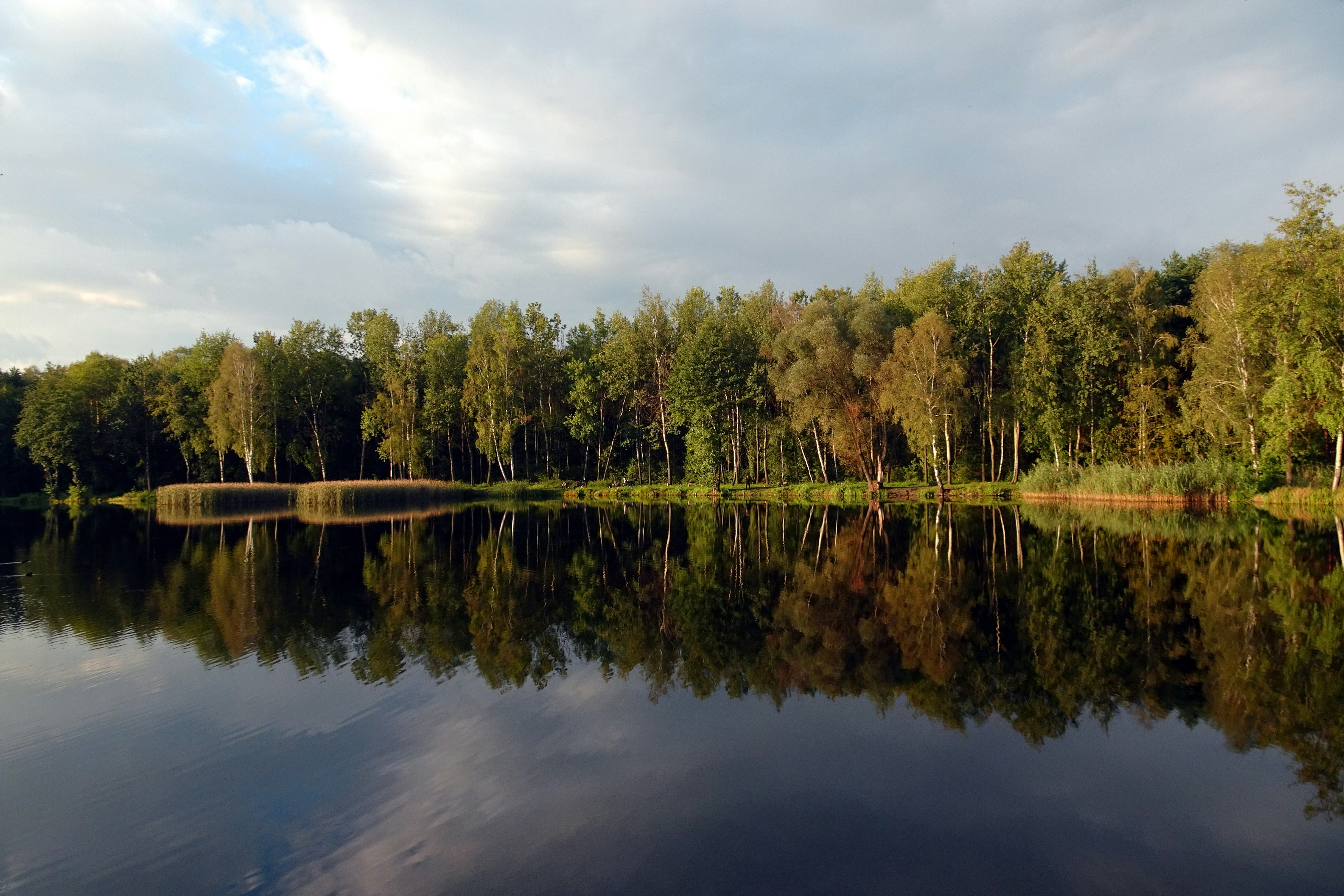 Photo by 12photography