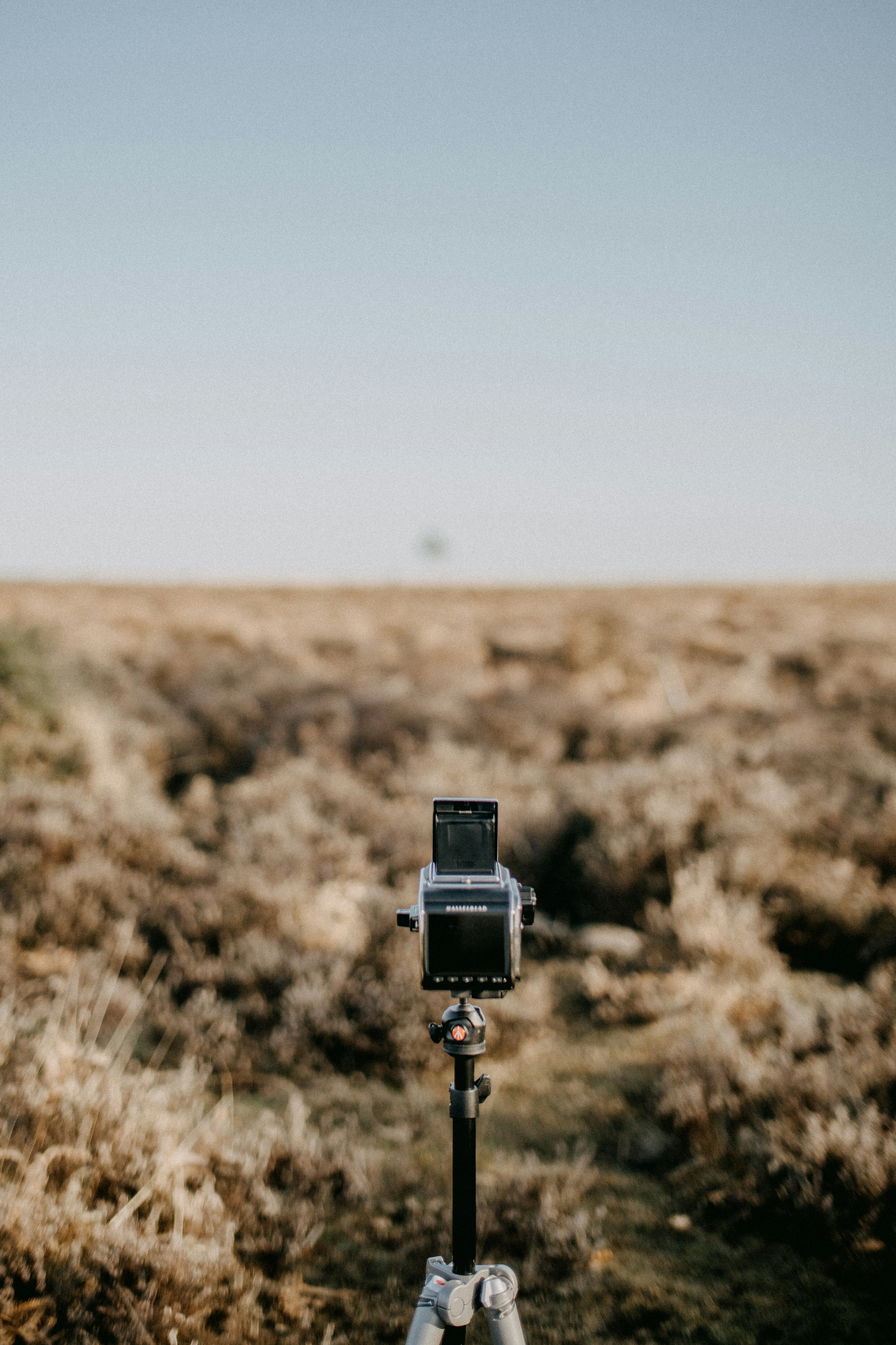 Photo by anniespratt