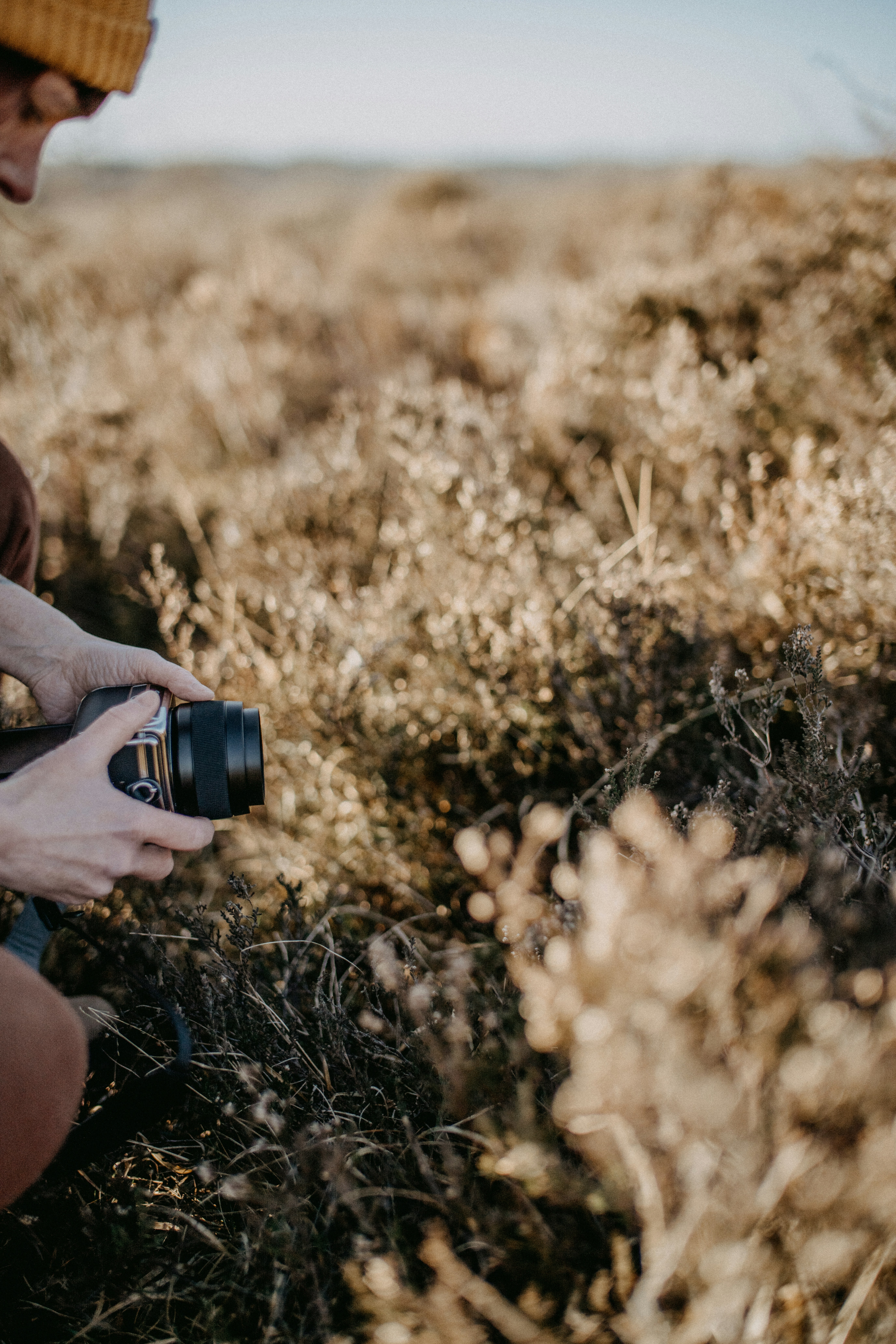 Photo by anniespratt