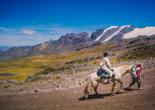 a couple of people riding on the back of horses