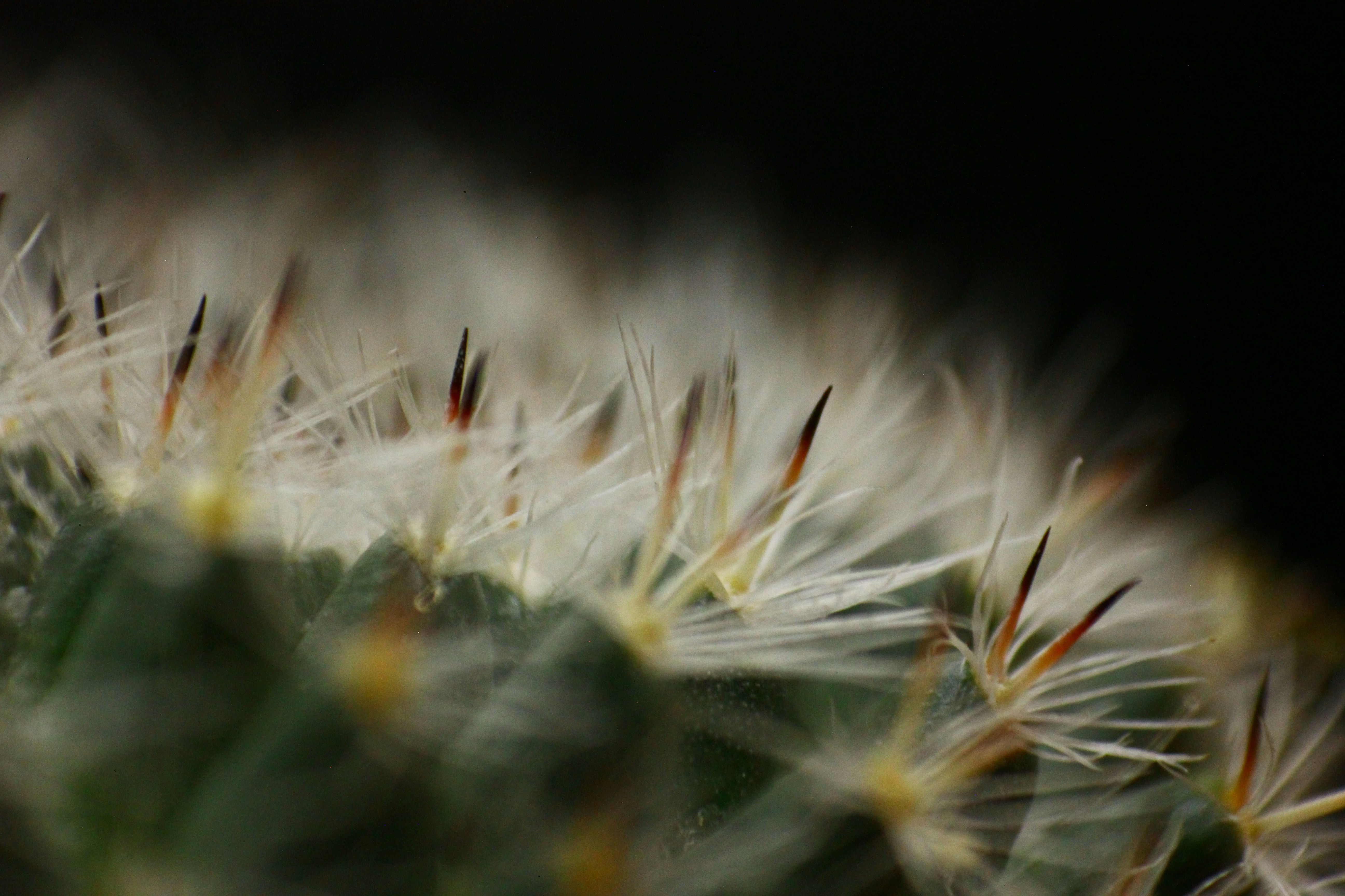 Photo by elnaz1384