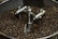 A large quantity of roasted coffee beans in a circular roasting machine. The machine features metallic components, including stirring arms and stabilizing structures, designed to agitate and evenly roast the beans.