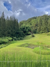 A broad-acre landscape showing swales and a pond nestled among forested hills under a cloudy sky.