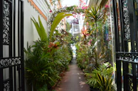 An inviting entrance area with aroma therapy diffusers and plants enhancing positive energy.