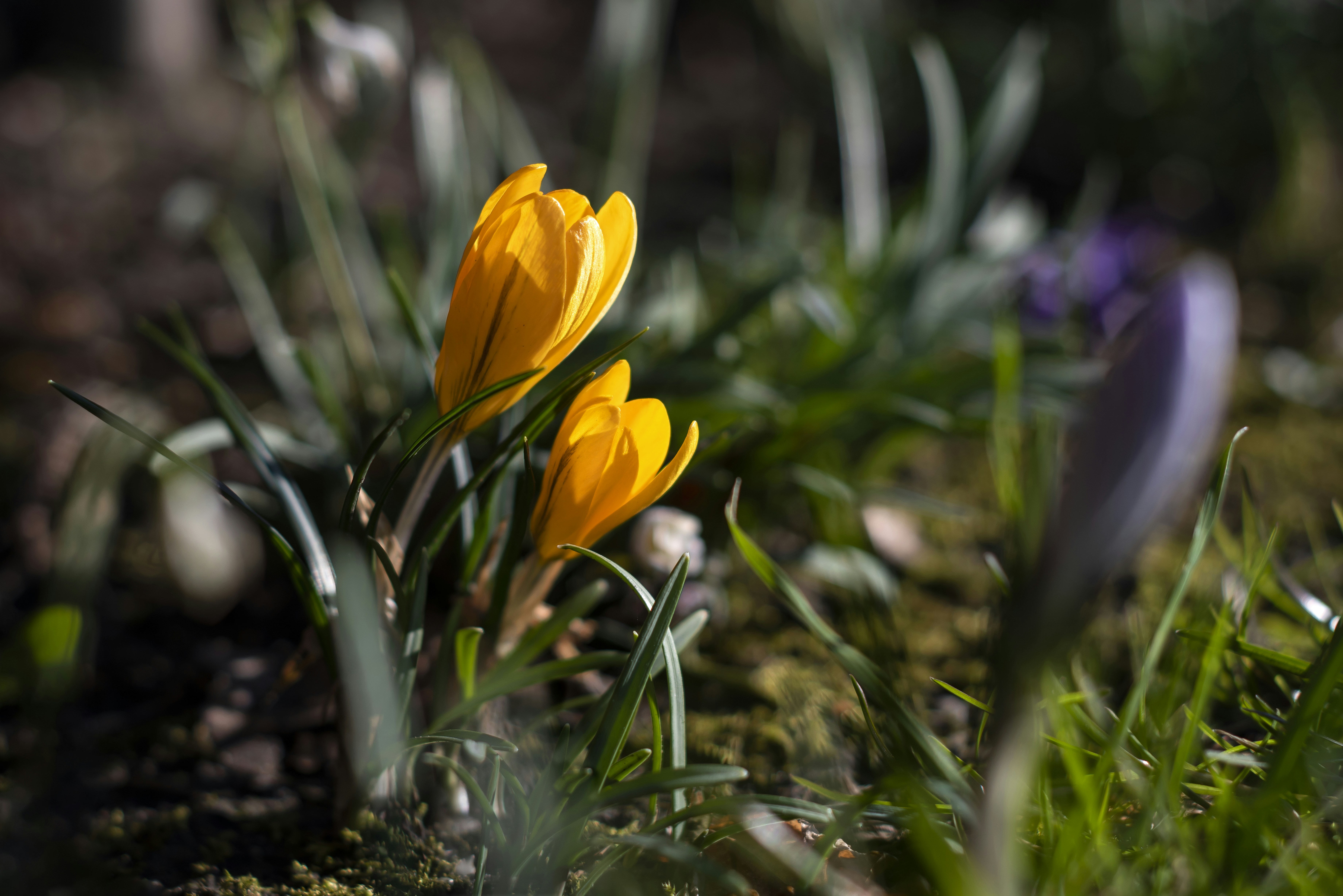 Photo by switch_dtp_fotografie