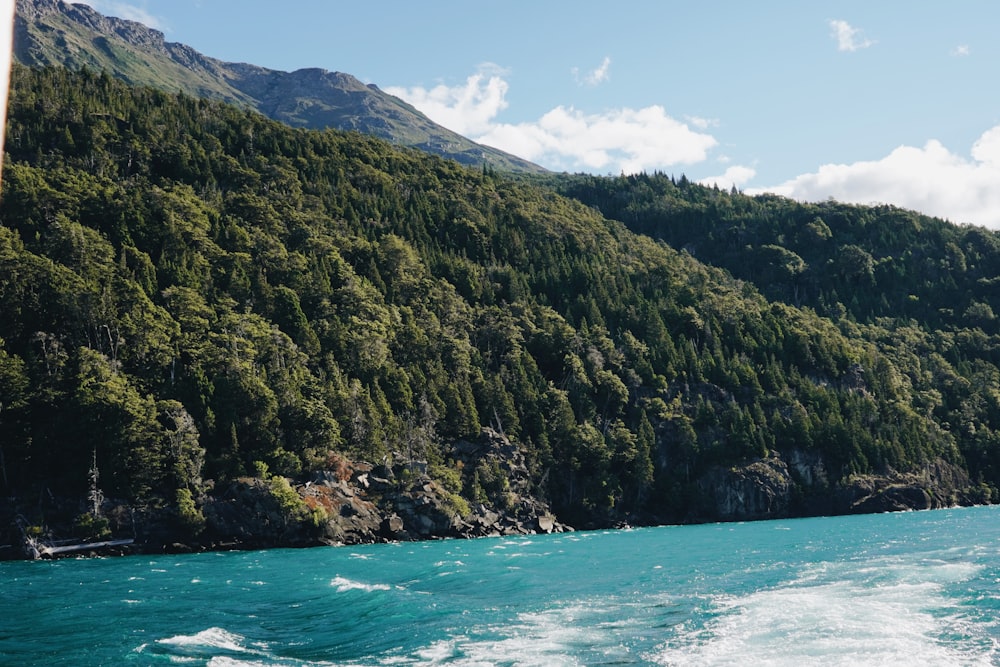 Una barca che viaggia lungo un fiume vicino a una collina verde lussureggiante