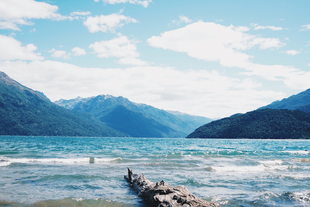 a log sticking out of the water in front of mountains