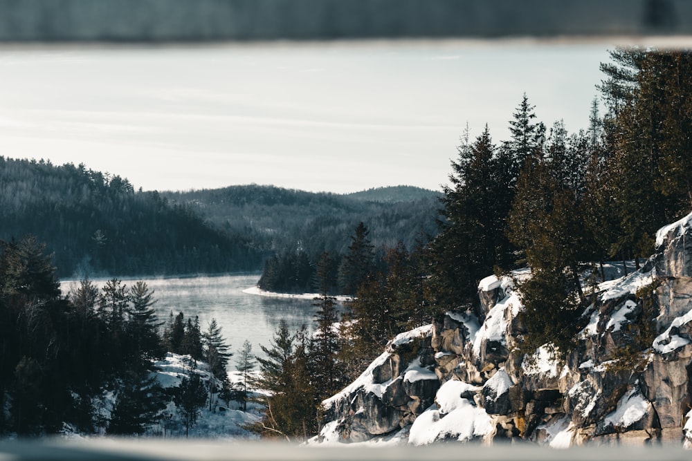 Un rebaño de ovejas de pie en la cima de una montaña cubierta de nieve